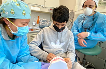 Two dental students instructing a pediatric patient who is holding a model of teeth.